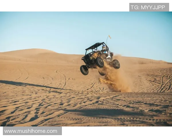 极限运动的魅力与挑战：南京极限运动队团队协作的深度探讨